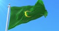 Mughal Empire Flag. Loop