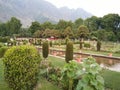 Mughal gardens