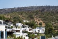 Smoke from summer 2021 fires behind the olive trees at Mugla Bodrum Mazi village Turkey