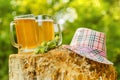 Mugs with beer on natural background. Royalty Free Stock Photo