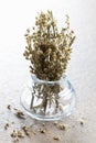 Mugwort in a glass Royalty Free Stock Photo