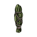 Mugwort smudge stick tied with thread hand-drawn doodle isolated icon. Vector stock plant leaves image. Herb bundle