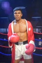 Muhammad Ali Professional Boxer