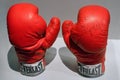 Muhammad Ali`s boxing gloves