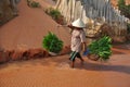 Vietnamese woman carries her herbs