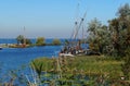 Sail boats stands moored near the river promenade of Muiden