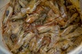 Muisne, Ecuador - March 16, 2016: Closeup bucket of fresh prawns, pacific ocean, as seen from above