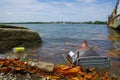 Muisne, Ecuador - March 16, 2016: Different trash floating in the water next to ferry pier