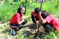 Reforestation activities