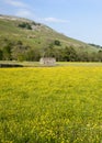 Muker barn Royalty Free Stock Photo