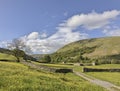 Muker meadows blue sky Royalty Free Stock Photo