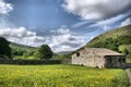 Muker Meadows - The Dales Royalty Free Stock Photo