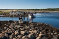 Muksalma the Small island, Solovki Royalty Free Stock Photo