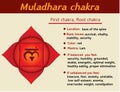 Muladhara chakra infographic. First, root chakra symbol description and features. Information for kundalini yoga Royalty Free Stock Photo