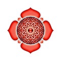 The Muladhara Chakra Mandala