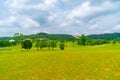 Early Summer scenery of Mulan grassland Scenic spot in Wuhan, Hubei Province, China