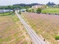 Early Summer scenery of Mulan grassland Scenic spot in Wuhan, Hubei Province, China