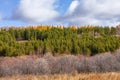 Mulan Wei Chang in autumn Royalty Free Stock Photo