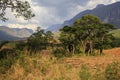 Mulanje Massif Royalty Free Stock Photo