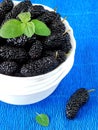 Mulberries on a bright colourful background