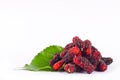 Mulberries fruit and mulberry leaf on white background healthy mulberry fruit food isolated Royalty Free Stock Photo