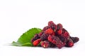 Mulberries fruit and mulberry leaf on white background healthy mulberry fruit food isolated