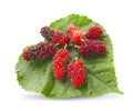 Mulberries fruit and mulberry leaf on white background healthy mulberry fruit food isolated Royalty Free Stock Photo