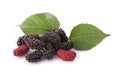 Mulberries fruit and mulberry leaf on white background healthy mulberry fruit food isolated Royalty Free Stock Photo