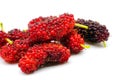 Mulberries fruit and mulberry leaf on white background healthy mulberry fruit Royalty Free Stock Photo