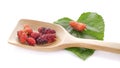 Mulberries fruit and mulberry leaf on white background healthy mulberry fruit food isolated Royalty Free Stock Photo