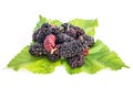 Mulberries with leaf isolated on white. Royalty Free Stock Photo