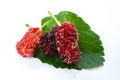 Mulberries with a leaves.