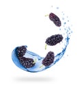 Mulberries with splashes of fresh water close-up on white