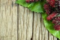 Mulberry balls on mulberry leaves, wood background