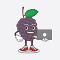 Mulberry Fruit cartoon mascot character working with laptop