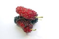 Health and benefits of mulberry fruit Royalty Free Stock Photo