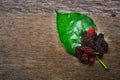 Mulberry fruit on a wooden background.Top view with copy space