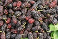 Mulberry fruits