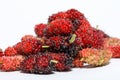 Juicy mulberry fruit Morus indica on white background Royalty Free Stock Photo