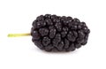 Mulberry isolated Royalty Free Stock Photo