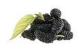 Mulberry isolated on white Royalty Free Stock Photo