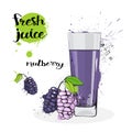 Mulberry Juice Fresh Hand Drawn Watercolor Fruits And Glass On White Background Royalty Free Stock Photo