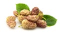 Mulberry with leafs Royalty Free Stock Photo