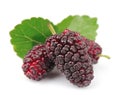 Mulberry with leafs Royalty Free Stock Photo