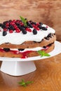 Mulberry and red currant cake with whipped cream Royalty Free Stock Photo