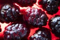 mulberry in red jelly in a glass macro as background, berry fruit background Royalty Free Stock Photo