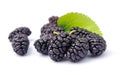 Mulberry Royalty Free Stock Photo