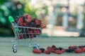 Mulberry in shopping cart