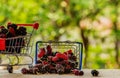 Mulberry in a stainless steel basket. Royalty Free Stock Photo