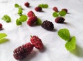 Mulberry on a white background with mint leaves